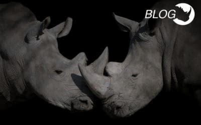 Learn how you can help a Rhino. Stop by our booth at one of these events!