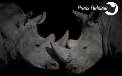 ThreatQuotient Expands Support for Rhino Conservation in Honor of World Rhino Day