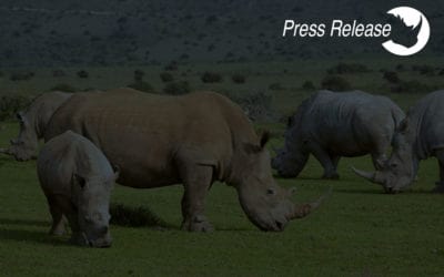 ThreatQuotient Celebrates World Rhino Day 2020 With Ongoing Support for Helping Rhinos