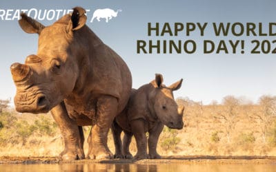 ThreatQuotient Continues Tradition of Celebrating World Rhino Day in 2021