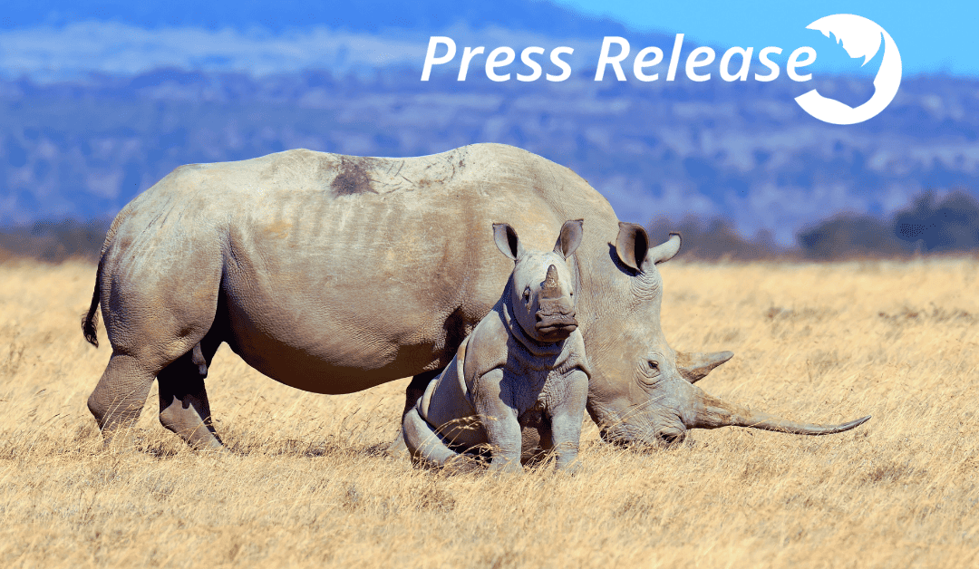 ThreatQuotient Recognizes World Rhino Day 2023